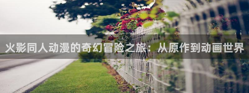 夜勤病栋樱花动漫在线观看：火影同人动漫的奇幻冒险之旅：从原作到动画世界