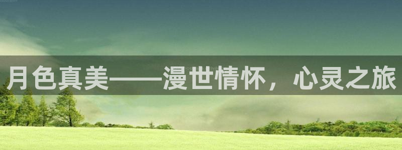 shuffle樱花动漫：月色真美——漫世情怀，心灵之旅